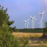 zielona transformacja