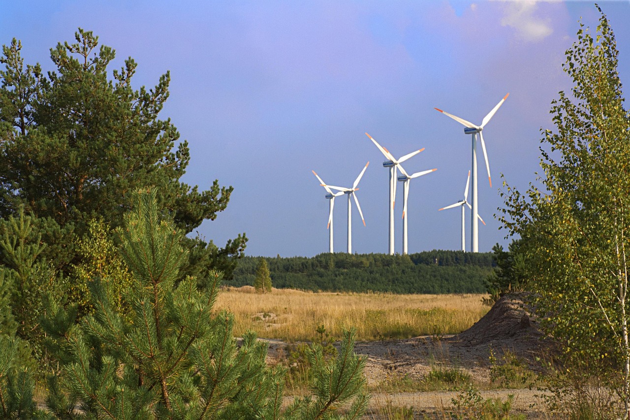 zielona transformacja