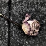 dekarbonizacja przedsiębiorstw